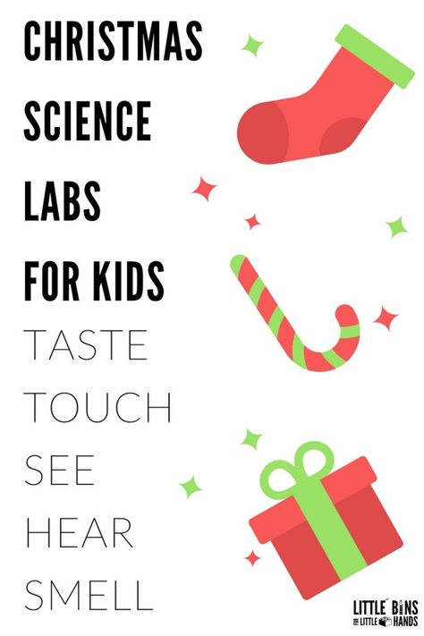 Our Christmas science labs for Santa's 5 senses is perfect for busy families to do this season! Your kids will love to taste test Santa's cookies, listen to jingle bells, and more! fun classroom Christmas science activities too! Perfect for preschool, kindergarten, and early elementary school age kids. 5 Senses Of Christmas, Christmas Senses Activities, 5 Senses Christmas Preschool, Christmas Five Senses Preschool, 5 Senses Of Christmas Preschool, Christmas 5 Senses Preschool, Preschool Christmas Science, Christmas 5 Senses, Bsf Activities