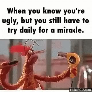 super funny meme about being ugly #uglymemes #beinguglymemes #feelingugly Ugly Meme, I Feel Ugly, Feeling Ugly, A Miracle, Keep Trying, When You Know, Funny Pins, Super Funny, Animated Gif