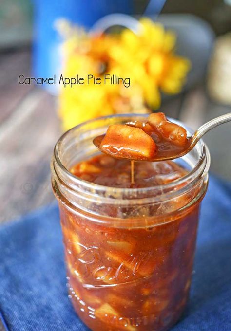 Caramel Apple Pie Filling, Apple Crumb Cakes, Apple Pie Filling Recipes, Caramel Apples Homemade, Cinnamon Apple Pie, Apple Crumb, Pie Filling Recipes, Cake Mug, Apple Pie Filling