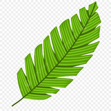 Green Palm Leaves, Leaves Clipart, Leaves Png, Logo Cloud, Palm Tree Leaves, Leaf Clipart, Vector Trees, Leaf Images, Black And White Tree