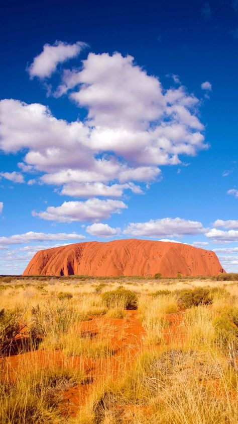 Ayers Rock Australia, Ayers Rock, Satellite Maps, Cellphone Wallpaper Backgrounds, Iconic Buildings, Different Seasons, Reference Photos, Ancient Times, Awe Inspiring