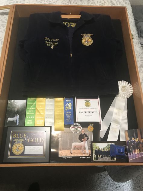 I wanted to save these memories for my brother since I knew he wouldn’t take time to do this. Ffa Jacket Shadow Box Ideas, Ffa Shadow Box Ideas, Ffa Senior Pallets, Ffa Senior Gifts, Omar Daniel, Ffa Blanket, Ffa Scrapbook Ideas, Shadow Box Horse Show Ribbons, Horse Judging