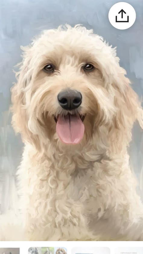 Labradoodle Drawing, Goldendoodle Art, Dog Face Drawing, Pet Portrait Paintings, Dog Portraits Painting, Dog Portraits Art, Useful Gifts, Automatic Vacuum, Gifts For Grandma