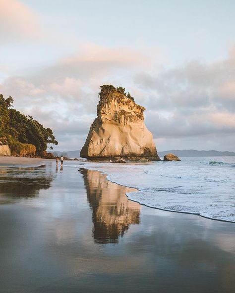 Giulia Gartner on Instagram: “Who would want to go for a romantic walk on the beach in New Zealand’s paradise? 💛😍” Cathedral Cove, Epic Journey, Beach Walk, Mount Rushmore, Aesthetic Pictures, New Zealand, The Beach, Natural Landmarks, Photo And Video