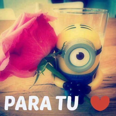 What an adorable minon ♥ Minion Photos, Minions 4, Beef Tartare, Adventure Picture, Peppercorn Sauce, Minion Pictures, Minions Love, Cute Minions, Spanish Memes