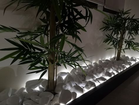 Indoor Pebble Garden, Indoor Rock Garden Ideas, Zen Garden Wall, Indoor Zen Garden, Zen Room, Living Room Design Inspiration, Pinterest Room Decor, Garden Deco, Outdoor Gardens Design