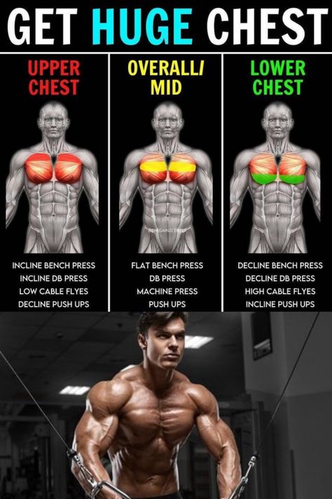 Upper Chest Workout Men Gym, Chest Excersise For Men Gym, Chest Workouts For Men Gym Work Outs, Massive Chest Workout For Men, Huge Chest Workout, Best Chest Workout, Chest Exercises, Body Gym, Mens Workout