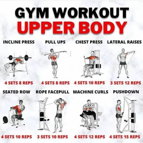 Total Upper Body Workout At Gym, Gym Upper Body Workout, Upper And Lower Body Workout, Upper Body Workout At Gym, Insanity Workout Calendar, Works Outs, Upper Body Workout Gym, Gym Workouts Machines, Workout At Gym