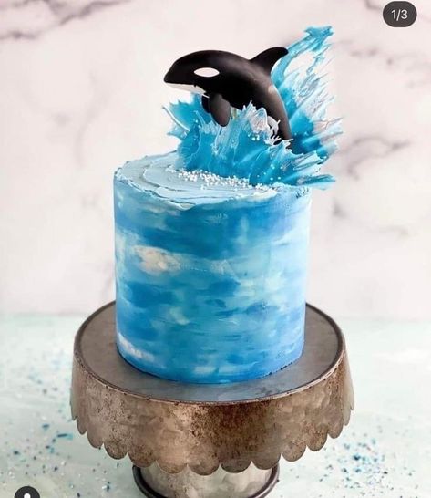 Orca Birthday Cake, Orca Birthday Ideas, Orca Whale Cake, Orca Cake, Boo Birthday Cake, Whale Birthday Cake, Dolphin Birthday Cakes, Aquarium Cake, Dolphin Cake