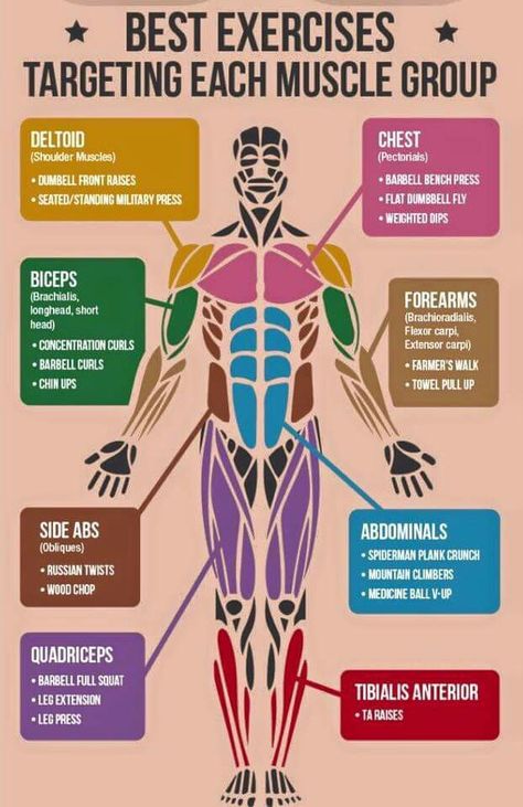 Best exercises for each body part (1 of 2) Inner Leg Workout, Planning Sport, Farmers Walk, Trening Fitness, Best Exercises, Muscle Groups, Strength Training, Muscles, Target