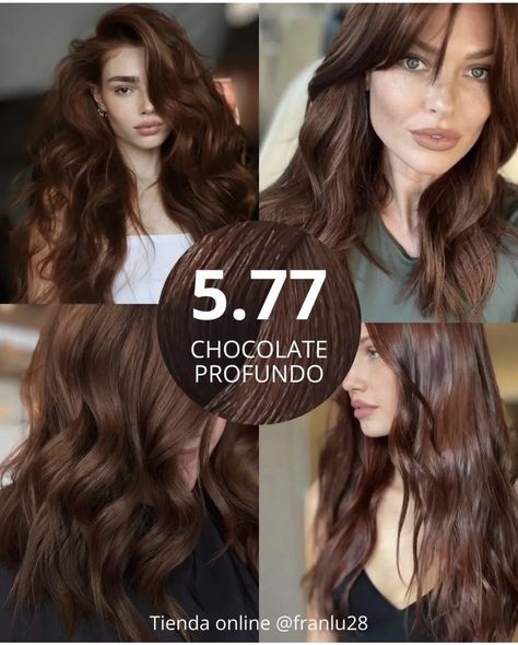 Chocolate Auburn Hair, Salon Hair Products, Mocha Color Hair, Professional Hair Products, Color Block Hair, Mocha Hair, Hair Dye Removal, Chocolate Brown Hair Color, Chestnut Hair Color