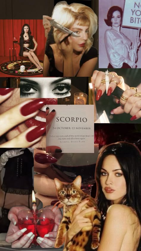 scorpio ♏️ #zodiac #aesthetic #outfitinspo #birthday #vibes #beauty #books #fyp #foryou #darkacademia #school #red Scorpio Asthetic Picture, Scorpio Vibes Aesthetic Wallpaper, Scorpio Pink Aesthetic, Scorpio Style Aesthetic, Scorpio Lilith Aesthetic, Scorpio Makeup Aesthetic, Scorpio Energy Aesthetic, Scorpio Birthday Aesthetic, Scorpio In Venus Aesthetic