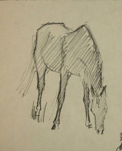 Horse Grazing Drawing, Pen Drawings People, Horse Pen Drawing, Drawings Of Horses, Horse Sketch Art, Sketch Horse, Horse Sketches, Horse Doodle, Horse Drawing Tutorial