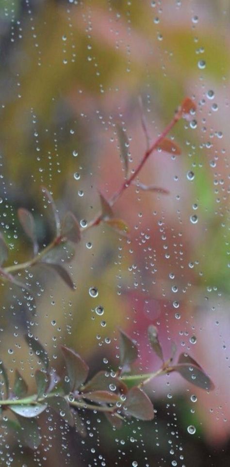 I Love Rain, Kindred Spirit, Charcoal Drawings, Love Rain, Singing In The Rain, Spring Rain, Walking In The Rain, Rainy Night, Dew Drops