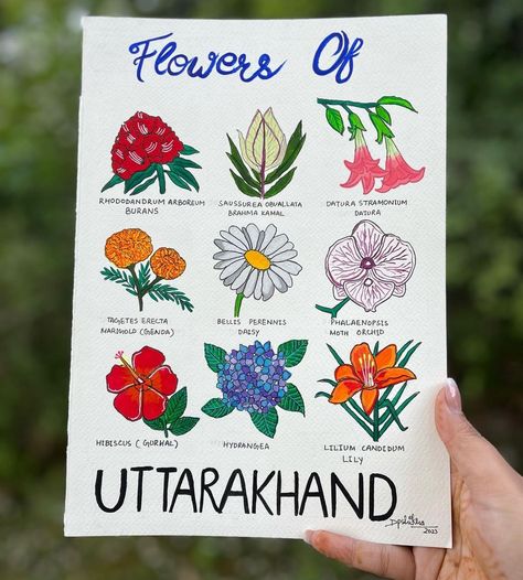 Flowers of Uttarakhand by Deepshikha T (@_deee_arts_) #hoovufinds Bhuli Art Uttarakhand, Uttarakhand Drawing, Pahadi Culture, Uttarakhand Culture, Ap Environmental Science, Sketch Reference, Study Stuff, Indian Motifs, Dancing Drawings