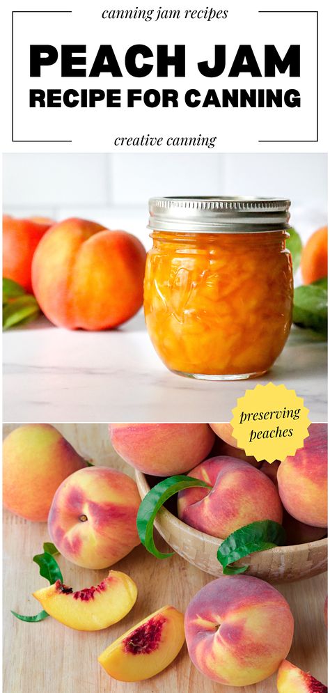 Embark on a delightful canning journey with our favorite canning jam recipe. You'll love this peach jam recipe for canning, infused with the essence of sun-kissed peaches and pectin. Detailed to perfection, this guide sheds light on how to make peach jam that stands out, ensuring that your pantry is always stocked with jars of golden-hued, flavorful delight. Fruit Preserves Recipe, Canning Fruit Recipes, Pectin Recipes, Fresh Peach Pie, Canning Jam Recipes, Low Sugar Jam, Peach Jam Recipe, Canning Peaches, Pressure Canning Recipes