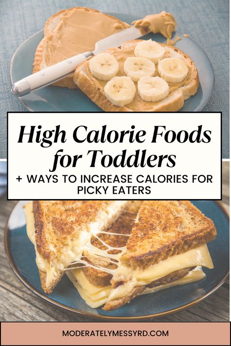 There’s a lot to worry about as a mom, and picky eating can create a headache of worries. It’s important to remember that us parents are not at fault. Food neophobia is normal, and with repeated exposure and practice it will likely get better. Until then, offering high calorie foods and using strategies to increase calories of their preferences can help to relieve some of the worries and promote healthy growth. Toddler Weight Gain Meals, Fruit For Picky Eaters, High Calorie Meals For Toddlers, High Fat Toddler Food, High Calorie Toddler Snacks, High Calorie Snacks For Toddlers, High Calorie Foods For Kids, High Calorie Snacks For Kids, High Calorie Toddler Meals