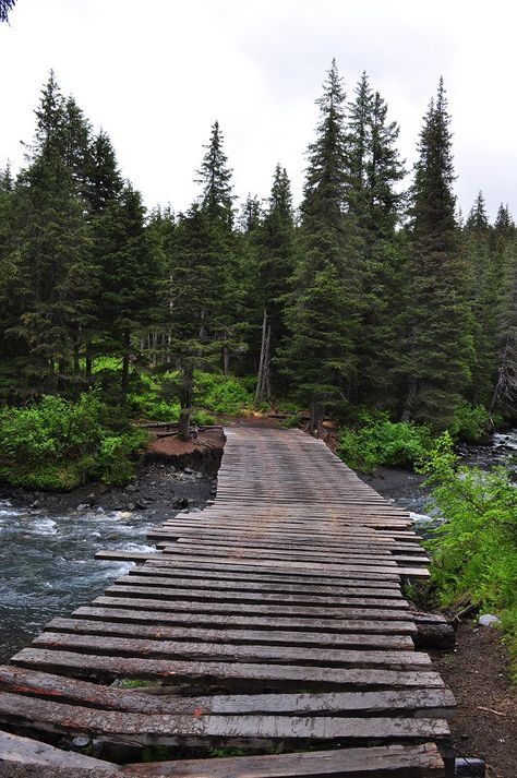 Winner Creek Trail, Girdwood, Alaska Alaska Hikes, Alaska Aesthetic, Wanderlust Wednesday, Alaska Living, Girdwood Alaska, Rushing Water, North To Alaska, Alaska Trip, Alaska Adventures