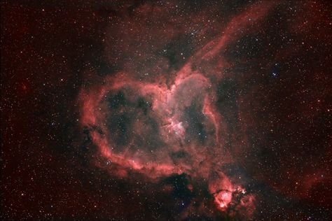 Heart-shaped nebula IC 1805, captured by Daniel Marquardt. Nebula Jars, Heart Nebula, Nebula Marvel, Nebula Tattoo, Nebula Painting, Nebula Wallpaper, Hearts In Nature, Heart In Nature, Orion Nebula