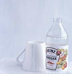 10 New Uses for Vinegar Uses For Vinegar, Vinegar Uses, Second Job, Vinegar And Water, Cleaners Homemade, Tea Stains, Paving Stones, Clean Dishwasher, Oily Hair