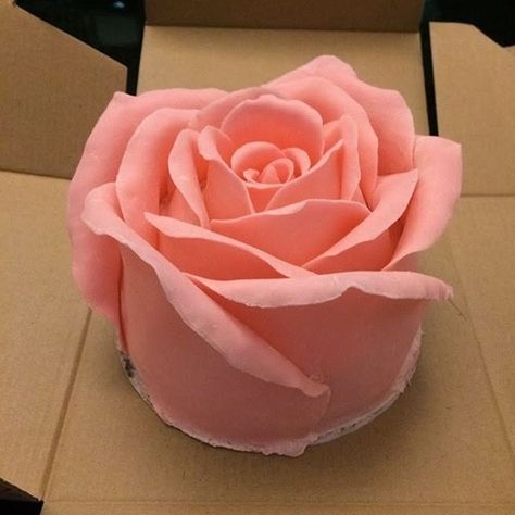 Big rose cake - recipe & video This cake is so cute & creative! I love it. It can be a gift in Valentine's Day!! Rose Cake Recipe, Mini Torte, Shaped Cake, Valentine Cake, Rose Cake, Just Cakes, Gorgeous Cakes, Occasion Cakes, Recipe Video