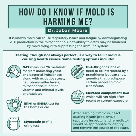 Mold Toxicity, Mold Allergy, Mold Exposure, Toxic Mold, Allergy Awareness, Wellness Inspiration, Chronic Inflammation, Holistic Nutrition, Autoimmune Disease