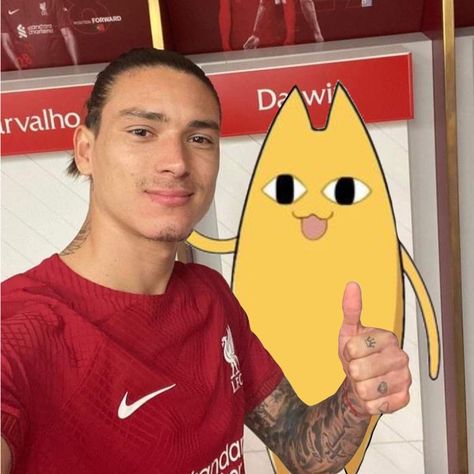 Funny Football Pfp, Darwin Nunez Funny, Darwin Nunez Pfp, Liverpool Pfp, Nunez Darwin, Liverpool Funny, Football Jokes Funny, Northeast United Fc, Liverpool Memes