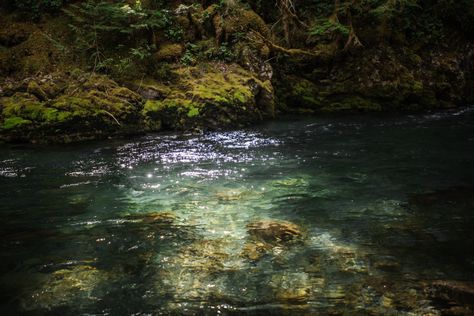 Orofeaiel Lake Aesthetic Dark, Stormy Water, Lake Aesthetics, Lake Aesthetic, Nature Camping, Mermaid Aesthetic, Green River, Rock Pools, Aesthetic Dark