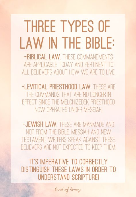 Books Of The Law Bible, Minor Prophets Of The Bible, Bible Vocabulary Words, Sections Of The Bible, Bible Facts Truths, How To Understand The Bible, What Each Book Of The Bible Is About, Cepher Bible, Bible Symbolism