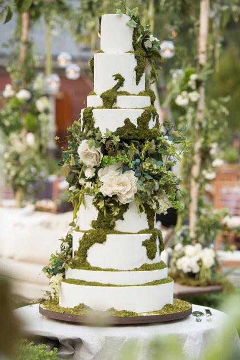 Enchanted Forest Wedding Cake, Wedding Cake With Greenery, Cake Forest, Cake With Greenery, Enchanted Forest Cake, Shrek Wedding, Moss Cake, Wedding Cake Forest, Madison Lee