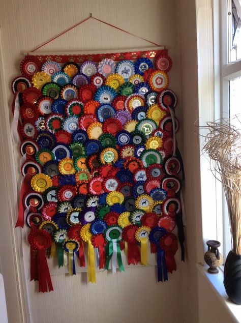 Ideas for displaying your Rosettes Horse Trophy Display Ideas, Dog Agility Ribbon Display, Rosette Ribbon Display, Horse Rosette Display, Rosette Display Ideas, Horse Ribbon Display Ideas, Horse Rosettes, Horse Ribbons Display Ideas, Rosette Display