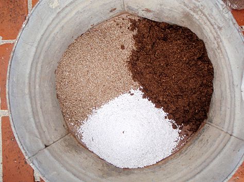 Seed Starting Soil, Saving Seeds, Rain Barrels, Seed Starting Mix, Starting Seeds Indoors, Seed Starter, Growing Potatoes, Dirt Cheap, Mango Tree