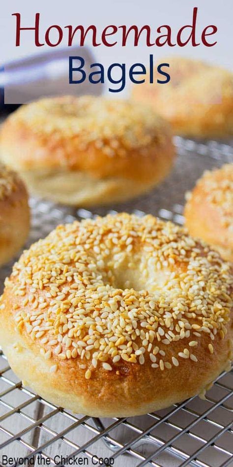 Homemade bagels are such a delicious way to start the day. Each these bagels for breakfast or use in a sandwich for lunch. This bagel recipe is easy to make for the home baker and you add your favorite bagel toppings or leave plain. Sandwich For Lunch, Sesame Bagel, Bagel Toppings, Homemade Bagels, Bagel Recipe, Sandwiches For Lunch, Baking Bread, Challah, Bread Recipes Homemade