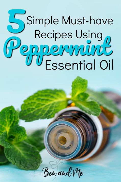 While Peppermint essential oil is a wonderful essential oil in its own right, combining it with other essential oils can make it even more powerful and useful. Here are five ways I use it to create blends and products to make my home more natural and to help support my own health. #essentialoils #essentialoilsforbeginners #aromatherapy #naturalhealth #peppermintessentialoil How To Use Peppermint Essential Oil, Peppermint Essential Oil Uses, Oil Substitute, Healthy Living Motivation, Kids Healthy, Parenting 101, Shake Recipes, Christian Parenting, Peppermint Essential Oil