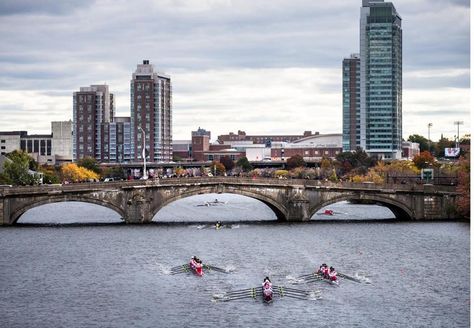 Head Of The Charles Regatta, Rowing Photography, True Homes, Boat Race, Picture Collage Wall, College Campus, Collage Wall, City House, Boston Ma