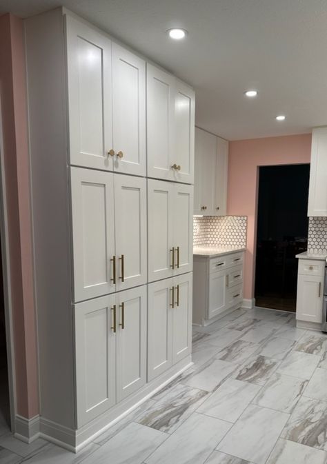 Pantry Wall Cabinets Built Ins, Narrow Kitchen Base Cabinet Ideas, Pantry Closed Cabinet, Shallow Wall Pantry Ideas, Kitchen Wall Of Cupboards, Wall Of Upper Cabinets, Full Wall Kitchen Cabinets Pantry, Wall Of Shallow Cabinets Kitchen, Kitchen Wall To Ceiling Cabinets