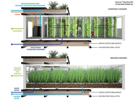 Shipping Containers As Building Blocks For Vertical Urban Farms | PopularResistance.Org Urban Farms, Indoor Farming, Farm Unit, Farming System, Vertical Farming, City Farm, Aquaponics System, 3d Modelle, Shipping Containers