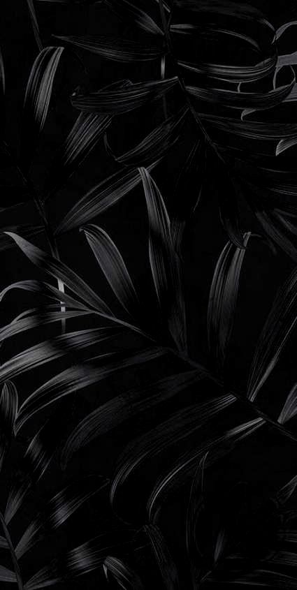 Screen Savers Aesthetic, Dark Black Wallpaper, Dark Background Wallpaper, Background Wallpaper For Photoshop, Motion Video, Black Wallpaper Iphone, Phone Wallpaper Design, Aesthetic Black, Black And White Wallpaper