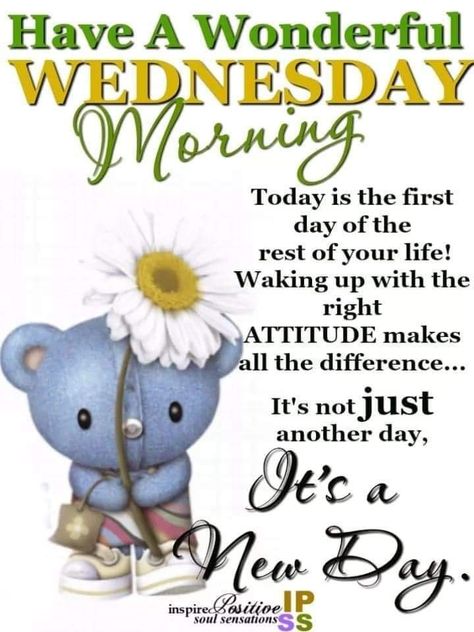 Amen! #ItsaNewDay🌞 #MakeaDifference Good Morning Wishes Wednesday, Paparazzi Wednesday, Wednesday Quotes Good Morning, Morning Quotes Wednesday, Wednesday Good Morning, Good Gif, Quotes Wednesday, Inspirational Morning Prayers, Happy Kids Quotes