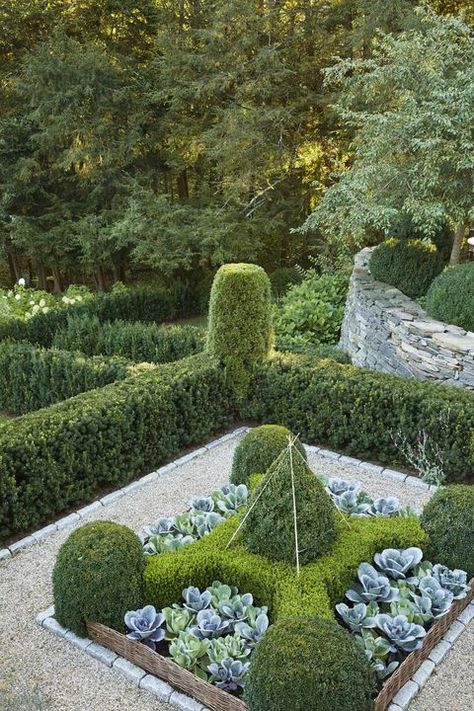 connecticut garden boxwood hedges cabbage Landscaping Around Pool, French Garden Design, Horse Chestnut Trees, Parterre Garden, Drought Resistant Plants, French Style Homes, California Garden, Formal Garden, Formal Gardens