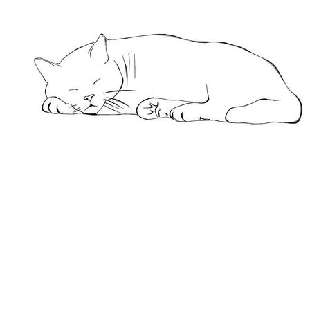 Cat Line Art, Cat Tattoo Designs, Cat Sketch, Cat Sleeping, Cat Tattoo, Line Art Drawings, Cat Drawing, White Cat, Cute Tattoos