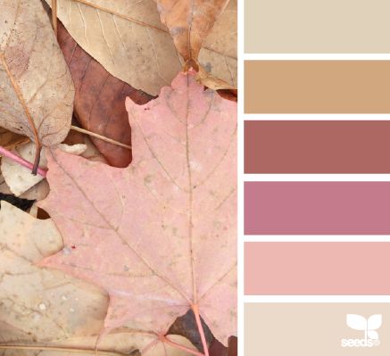 I love these colors together!! Seeds Color, Fall Palette, Palette Design, Fall Color Palette, Design Seeds, Deco Art, Color Balance, Color Inspo, Colour Schemes