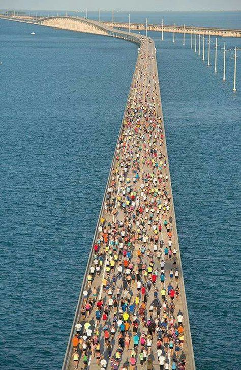 7-mile bridge run 2015 Travel Key West, Beautiful Florida, Florida Trip, Living On The Edge, Key West Florida, Salt Life, Florida Travel, Florida Keys, Key West