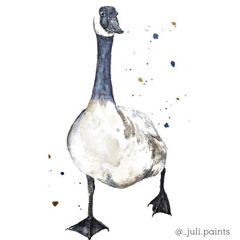 Canada goose in watercolor #watercolor #aquarell #wasserfarben #animal #bird Goose Watercolor, Bird Brain, Lino Cuts, Canadian Goose, Loose Watercolor, Shorebirds, Instagram C, Bird Illustration, Children Illustration