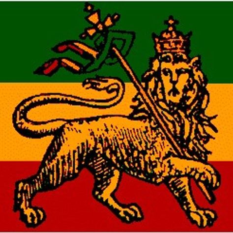 Roots Reggae Music, Green And Black Background, Ethiopian Flag, Reggae Art, Roots Reggae, Fair Play, Reggae Music, Lion Of Judah, Wing Chun