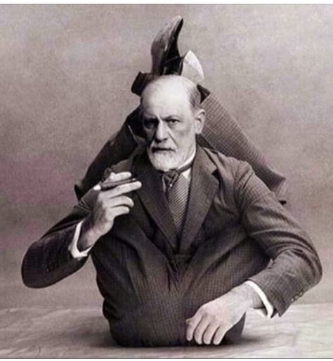 Freud Memes Funny, Psychoanalysis Art, Psychology Memes, Psychology Studies, 15 October, Sigmund Freud, Literature Art, Mad Scientist, Shadow Work