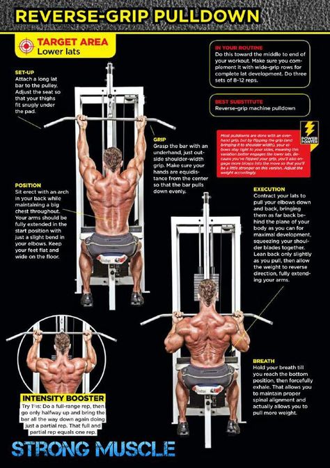 Lower lats exercises Lat Workout, Health Infographics, Sport Exercise, Men Health, Weight Training Workouts, Chest Workouts, Men's Fitness, Gym Inspiration, Gym Workout Tips