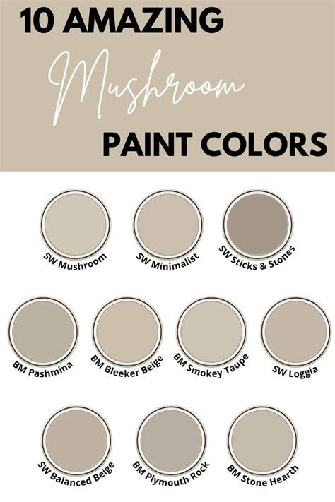 Mushroom Paint Color. There are any references about Mushroom Paint Color in here. you can look below. I hope this article about Mushroom Paint Color can be useful for you. Please remember that this article is for reference purposes only. #mushroom #paint #color Mushroom Colour Palette, Mushroom Paint Color, Bleeker Beige, Balanced Beige, Birth Colors, Mushroom Paint, Children Of The Corn, Paint Color Chart, Grey Patio