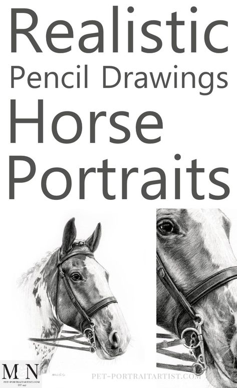 Pencils Drawings Sketches, Horse Art Drawing Sketches, Realistic Horse Drawings, Realistic Horse Sketch, How To Draw A Horse, Birds Pencil Drawing, Equine Art Pencil Drawings, Realistic Rose Drawing, Horse Drawing Ideas