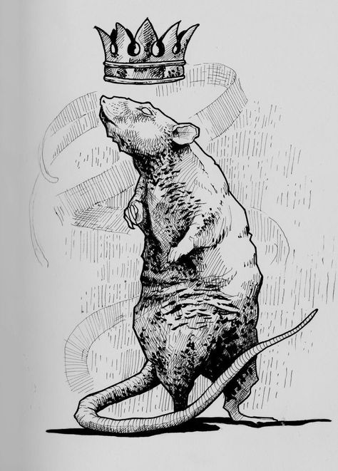 Rats Drawing, Rat Artwork, Rat Art, Rat Tattoo, Mouse Drawing, Arte Peculiar, A Rat, Pet Rats, Animal Sketches